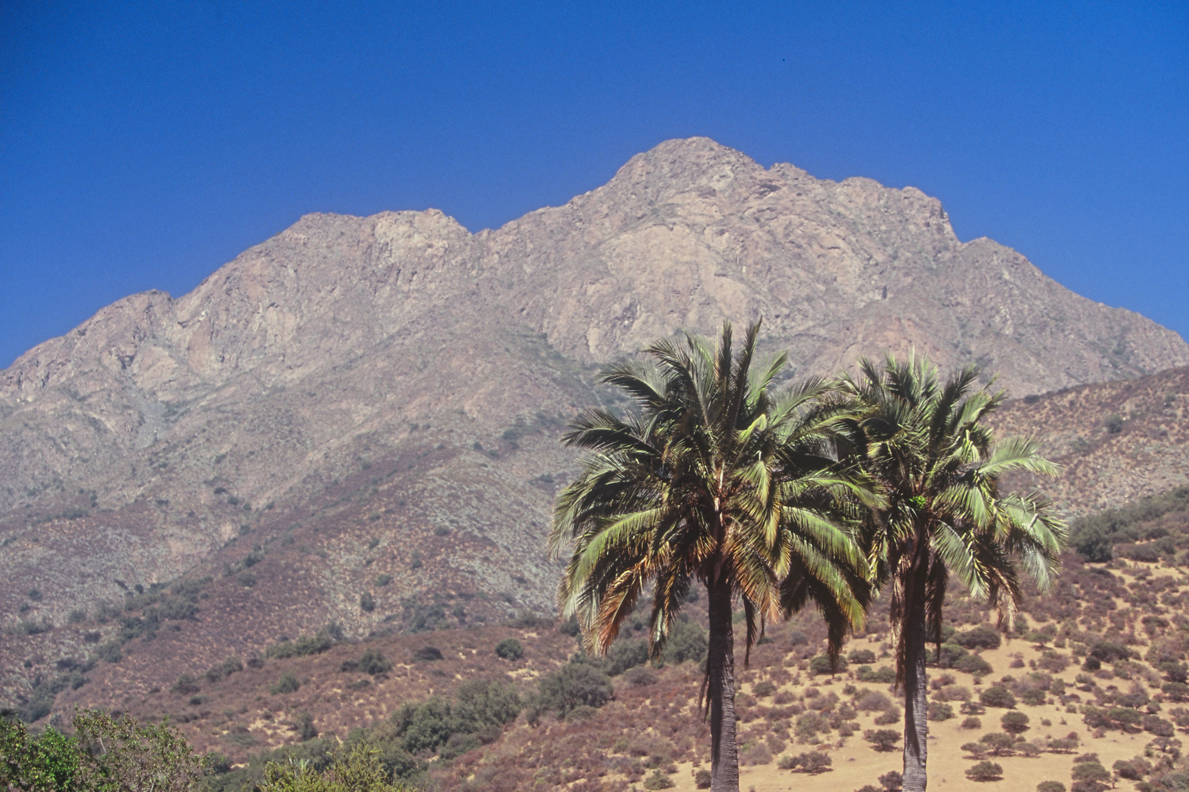 Chile, Zentrales Bergland